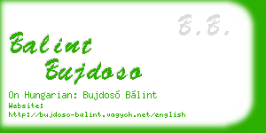 balint bujdoso business card