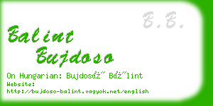 balint bujdoso business card